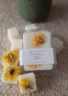 Sunflower & Flower Wax Cubes