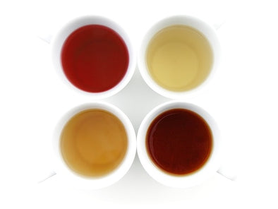 Quelle est la différence entre le thé, la tisane et le rooibos…?