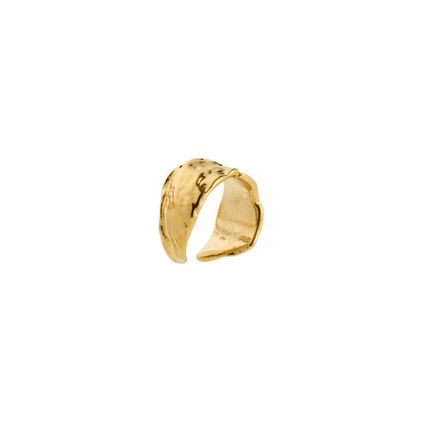 INSTANT gold-plated ear cuff