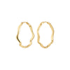 LARKIN gold-plated earrings