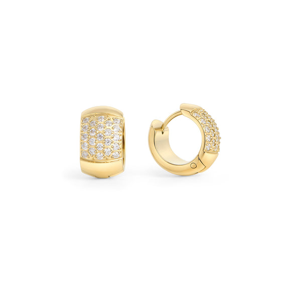 Boucles Dormeuses Rafaelle 11