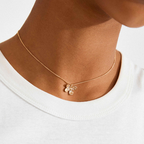 Collier Ajani Plaqué or