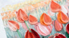 Carte de vœux quillée champ de tulipes