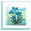 Carte de vœux quillée Myosotis