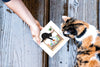 Carte de vœux Chat Espiègle en Papier Roulé