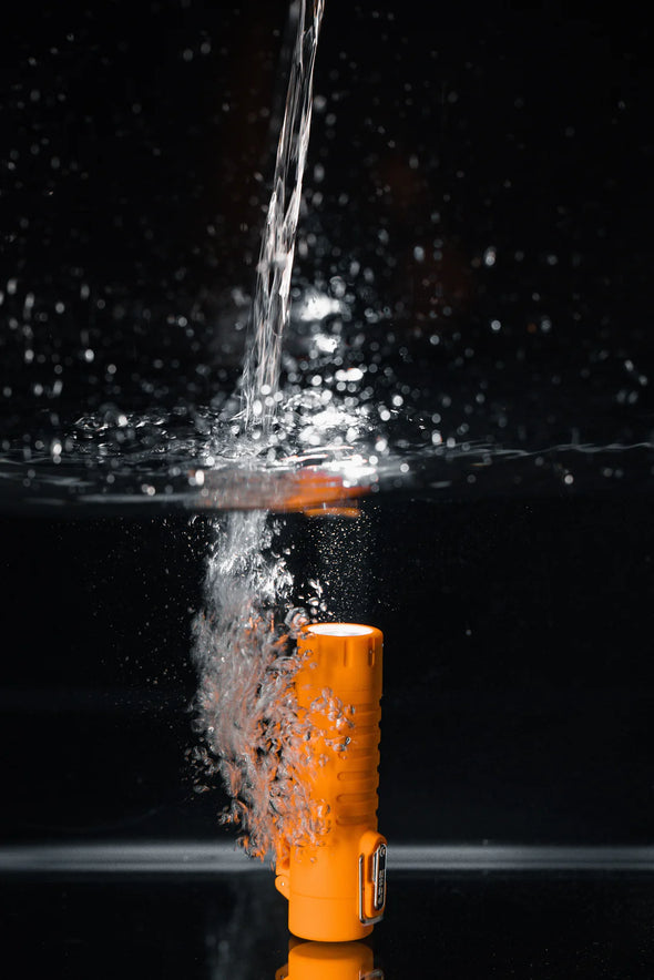 Briquet Survival