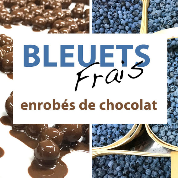 bleuets au chocolat, panier de bleuets frais